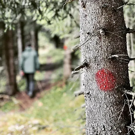 Adalsvollen Retreat ヴァダル